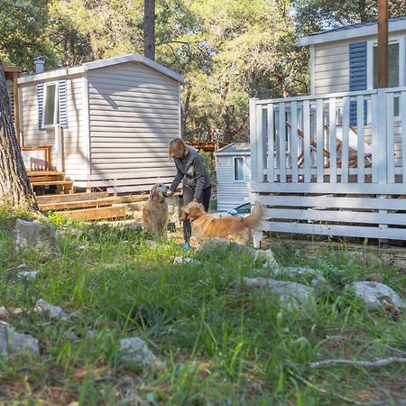 Mobile Homes Pine Sea באניולה מראה חיצוני תמונה